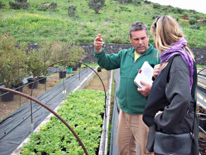 Vivero Puntallan: fachkundige Gärtner beraten die Kunden. Foto: La Palma 24