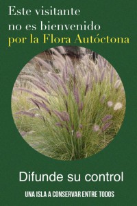 Plakat des Umweltamts von La Palma: Aufruf an die Bevölkerung, dem floralen Aggressor Rabo de Gato zu Leibe zu rücken.