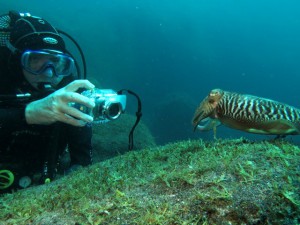 Georg taucht immer mit der Kamera ab: Außerdem gibt der Experte auch Tipps zur Unterwasserfotografie.