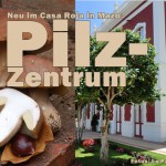 Casa-Roja-Pilzzentrum-Titel