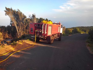 Waldbrand in Garafía: die Einsatzkräfte waren schnell vor Ort und brachten das Feuer unter Kontrolle. Foto: Cabildo