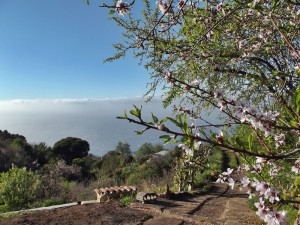 Hippieland im Nordwesten von La Palma: Blick von Susannes Haus in Las Tricias aufs Meer. Foto: La Palma 24