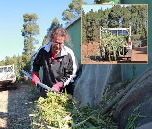 Juan Pablo se levanta 