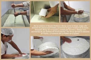 Elaboración del Queso Palmero: todo artesanal! Hacer clic al foto de que puedes leer el texto. Fotos: La Palma 24