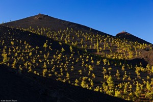 Tourismusplan-Reaktivierung: Eingaben bis zum 7. April 2016. Foto: Giovanni Tessicini