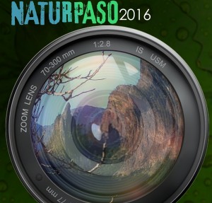 NaturPaso: Events um Sport und Natur.