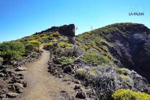 Wanderwege auf La Palma: Imm