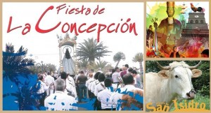 fiestas-brena-alta