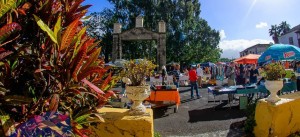 mercadillo_de_los_llanos_de_argual-la_palma_1