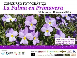 Fotowettbewerb des Tourismusverbandes: La Palma im Frühling.