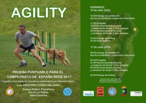 Agility in Puntallana: Punkte für die Spanischen Meisterschaften.