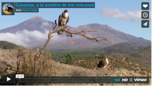 Die Kanaren im Schatten der Vulkane: Auf Vimeo ist ein Trailer zum Film eingestellt.
