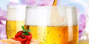 Bier-Messe in Santa Cruz: kühle Blonde und Dunkle Cervezas und bierige Tapas auf der Plaza de España.