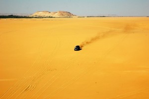 Aus der Sahara nach La Palma: Als nächstes will Francisco Aldeano die Kultur der Benahoaritas studieren - und malen.