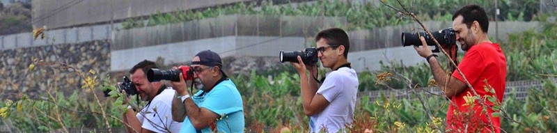 Die Plane-Spotter von La Palma: Wer mitmachen will, ist herzlich willkommen.