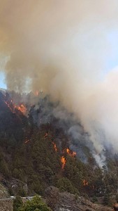 Waldbrand auf La Palma: Auf dem Gemeindegebiet von El Paso oberhalb des Fleckens Jedey brennt die Cumbre. Foto: BRIF