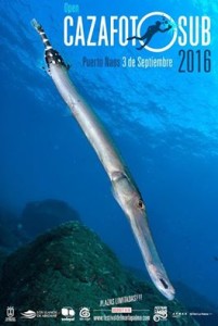 Festival del Mar in Puerto Naos: Submarine Infos, Filme und Apnoe-Fotowettbewerb.