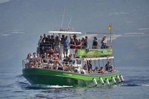 Die "Flipper": Noch ein Whale Watching-Boot im Hafen von Tazacorte. Foto: