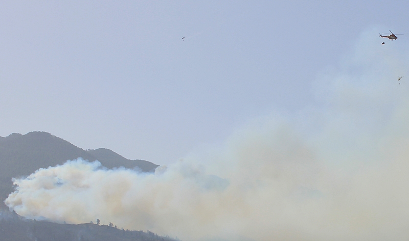 Donnerstag, 11.20 Uhr: Dieses Bild zeigt, wie dicht beeinander die Helis unermüdlich ihre Löschrunden ziehen. Foto: La Palma 24