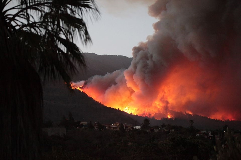 Die Flammen lodern oberhalb von El Paso: Dieses Foto von Palmex Cactus Garden ist eine Nahaufnahme circa einen Kilometer entfernt.