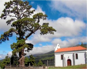 Bergfest in El Paso an der Kirche bei der Pino de la Virgen in El Paso hat um die 800 Jahre auf dem Buckel. Foto: Gobierno de Canarias