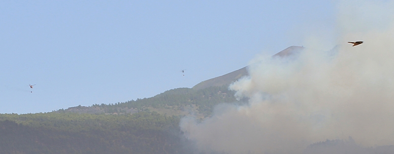 Waldbrand La Palma 16 Uhr: Die Hoffnung des Cabildo vom morgen, das Feuer bis gegen Abend kontrollieren zu können, scheint sich nicht zu erfüllen. Die Flammen fressen sich weiter nach oben. Die Befürchtung ist, dass sie den Osten der Insel erreichen, wo die Löscharbeiten noch schwieriger sind. Foto: La Palma 24