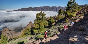 Transvulcania La Palma: Das Bergläufer-Event zeigt weiterhin Tendenz nach oben. Foto: Transvulcania-Rennleitung