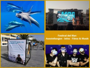 Festival del Mar: Große Schlussparty am Samstag mit dem Liquid-Mirror-Film im Open Air-Kino und der Rockband Forever.
