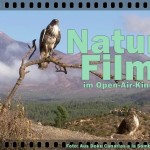 Schön: In Los Llanos Naturfilm open air erleben.