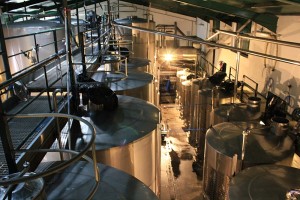 Blick in die Bodega: In hochmodernen Tanks reifen hier die meisten Vega Norte-Weine. Foto: La Palma 24