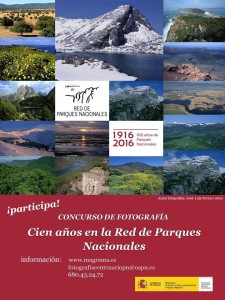 Fotowettbewerb Nationaparks Spanien: Auch die Caldera de Taburiente auf La Palma gehört dazu.