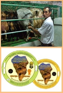 Queso las Cuevas: Gold für den Ziegenkäseproduzenten aus Puntagorda.
