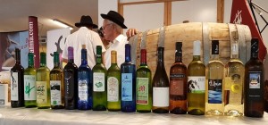 Vinos de La Palma: Die Erntemenge 2016 war schlecht, allerdings sind die Einbußen je nach Lage der Bodegas unterschiedlich gravierend. Foto: DO-Kontrollrat La Palma