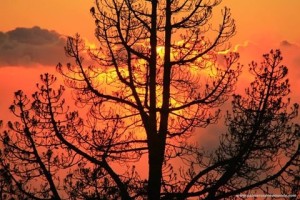 sunset-la-palma-garafia-fernando-rodriguez