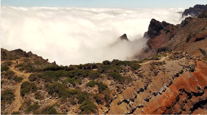 Magie über den Wolken: Diese Aussicht der Transvulcanier genossen auch schon die Ureinwohner von La Palma.