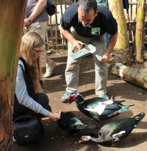 platanologico-puerto-naos-tiere3