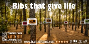 Transvulcanier laufen für Bäume: eine Pflanze und einen Euro für jeden Finisher. Foto: TRV-Rennleitung