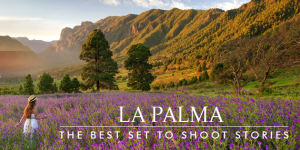 La Palma Film Commission: private Locations gesucht.