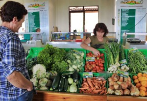 puntagorda-bauernmarkt-obst-gemuese4