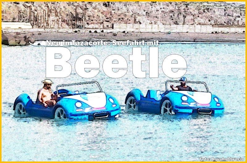 tazacorte-wasser-beetles-titel