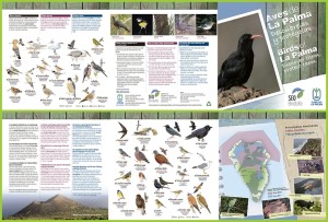 Neue Flyer: Aktion zum Schutz der Vogelwelt auf La Palma.