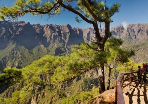 Caldera de Taburiente: Der Nationalpark auf La Palma zieht immer mehr Besucher an.