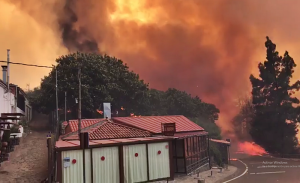 Waldbrand auf Gran Canaria: Wurde am Samstag als stabilisiert und in vier Sektoren für kontrolliert erklärt. Foto: Bomberos de Gran Canaria