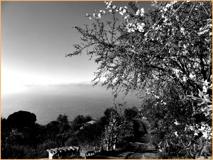 Der Nordwesten von La Palma: Dieser wilden Landschaft und ihren Bewohnern widmete Pedro viele seiner Songs auf der neuen CD. Foto: La Palma 24