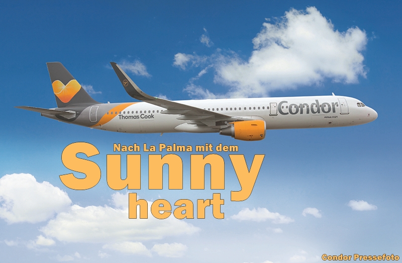 condor-la-palma