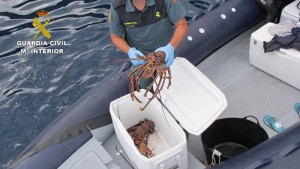 Kontra der Wilderei im Meer: Langusten-Diebe auf frischer Tat vor der Küste von La Palma entdeckt. Foto: Guardia Civil