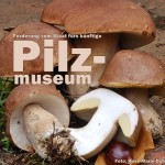 pilz-museum-la-palma-titel