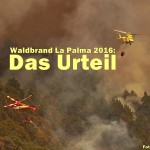 waldbrand-la-palma-2016-urteil