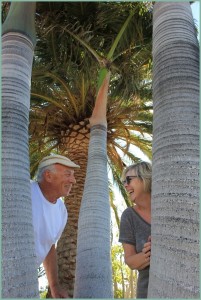 Sylvia Hess und Harald Braem: Das Künstlerehepaar genießt das Leben ein paar Monate im Jahr in La Punta auf La Palma. 