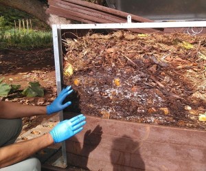 Aus Biomüll wird Kompost: Gemeinschaftsanlage in Puntallana funktioniert gut. Foto: Cabildo